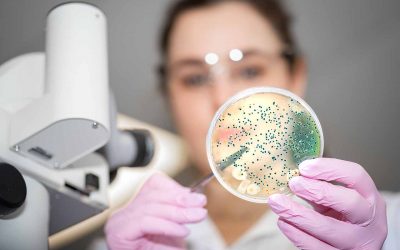 Identify New Convergent Opportunities in Your Domain with the Microbiome World