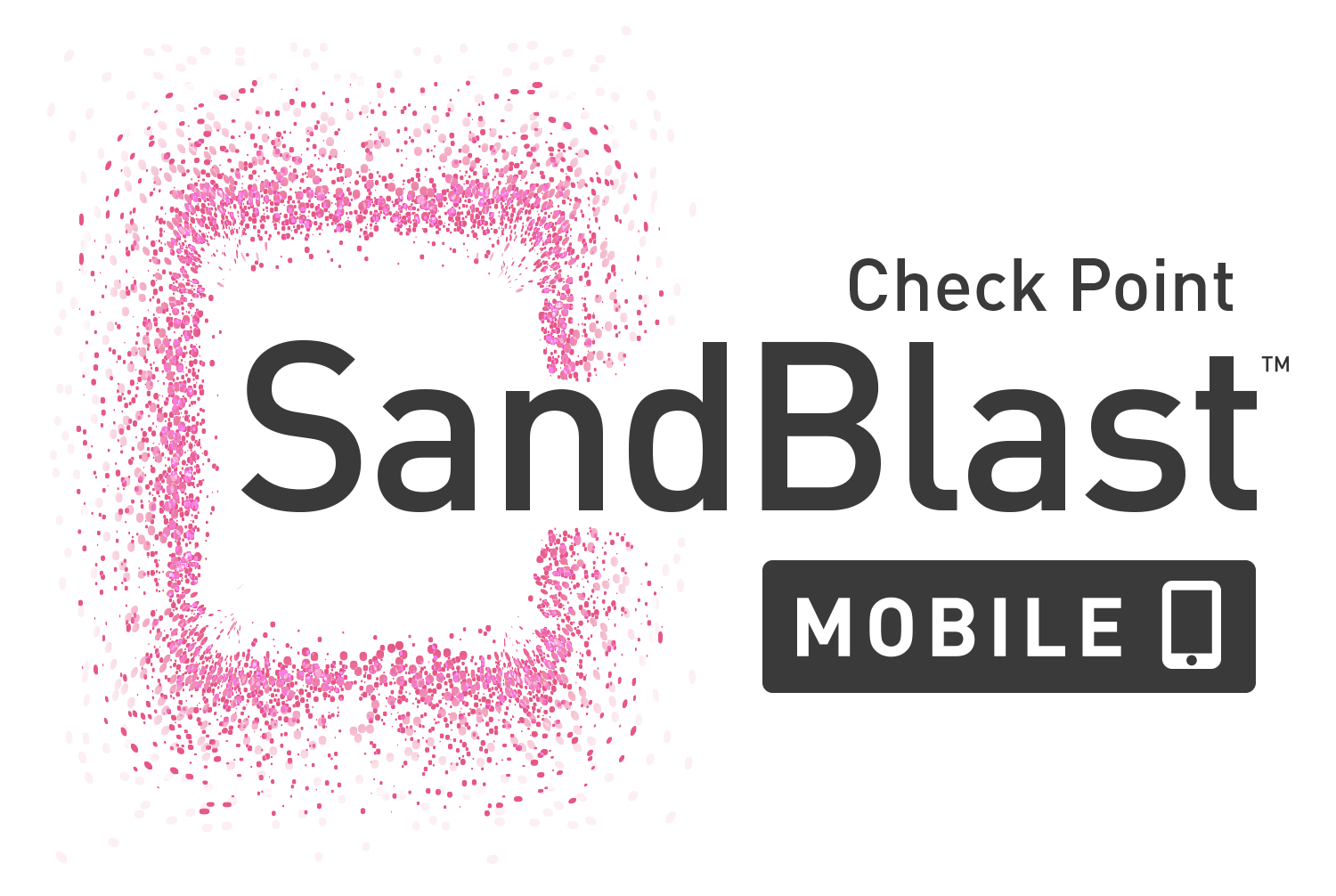 Checkpoint. Check point. Check point logo. Sandblast. Checkpoint Gaia.