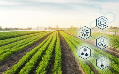 How AgTech Platforms are Tackling Scope 3 Emissions and Delivering Value for Farmers and other Key Stakeholders in the Agricultural Value Chain