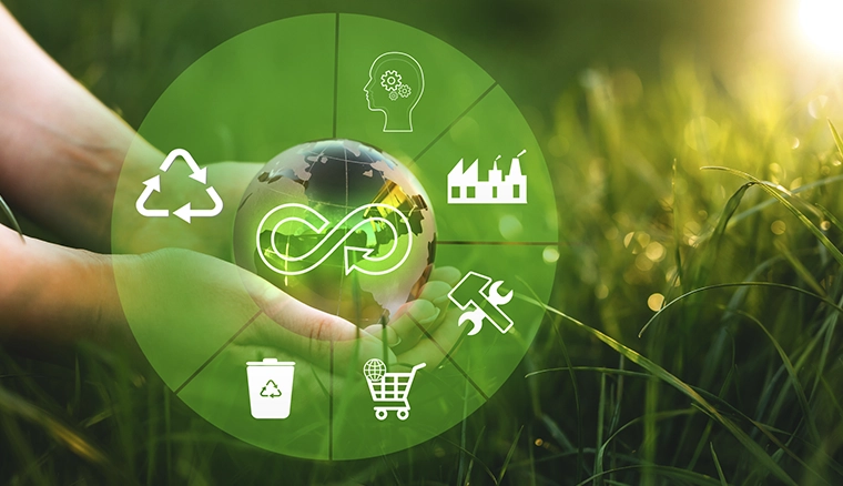 Transformation in Sustainability and Circular Economy