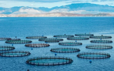 Are you prepared to harness disruptive technologies to propel growth in the aquaculture industry?