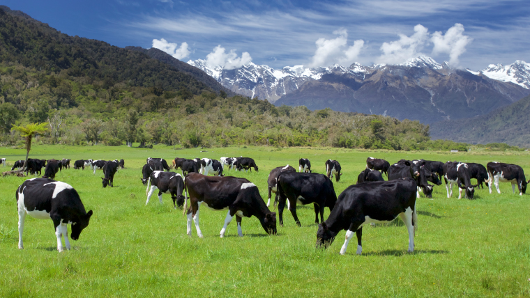 The Future of Pet Food and Livestock Feed is Sustainable